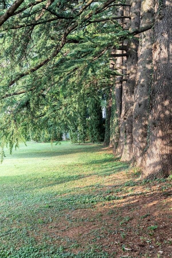 Villa Elisabeth リエルナ エクステリア 写真